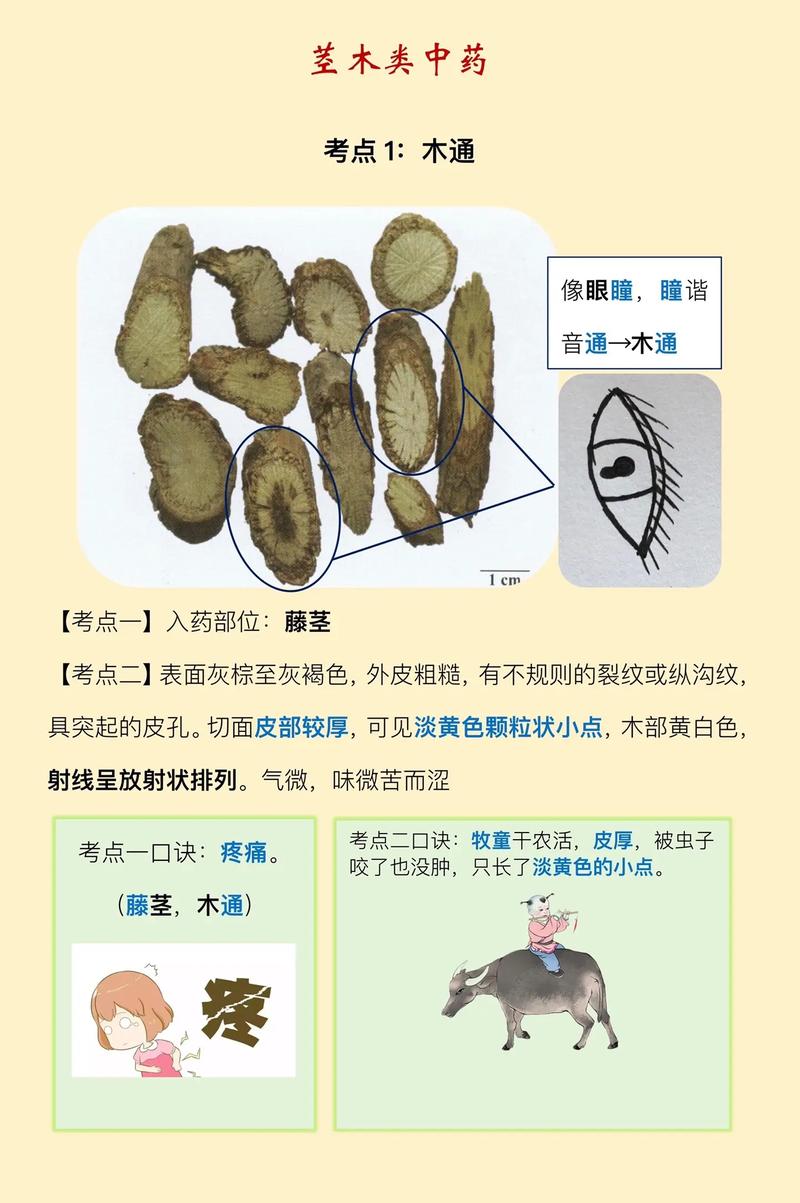 印宝印度代购希爱力是真的吗？避坑指南与正品鉴别全攻略